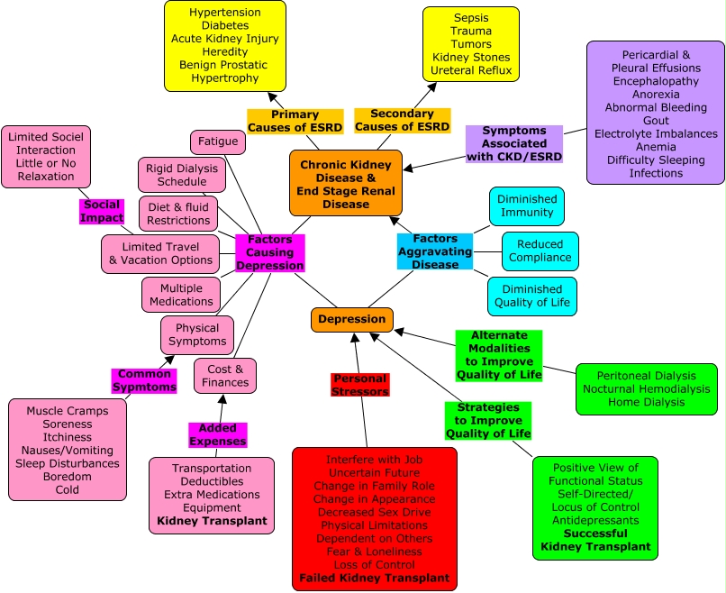 chronic-kidney-disease-concept-map-zip-code-map